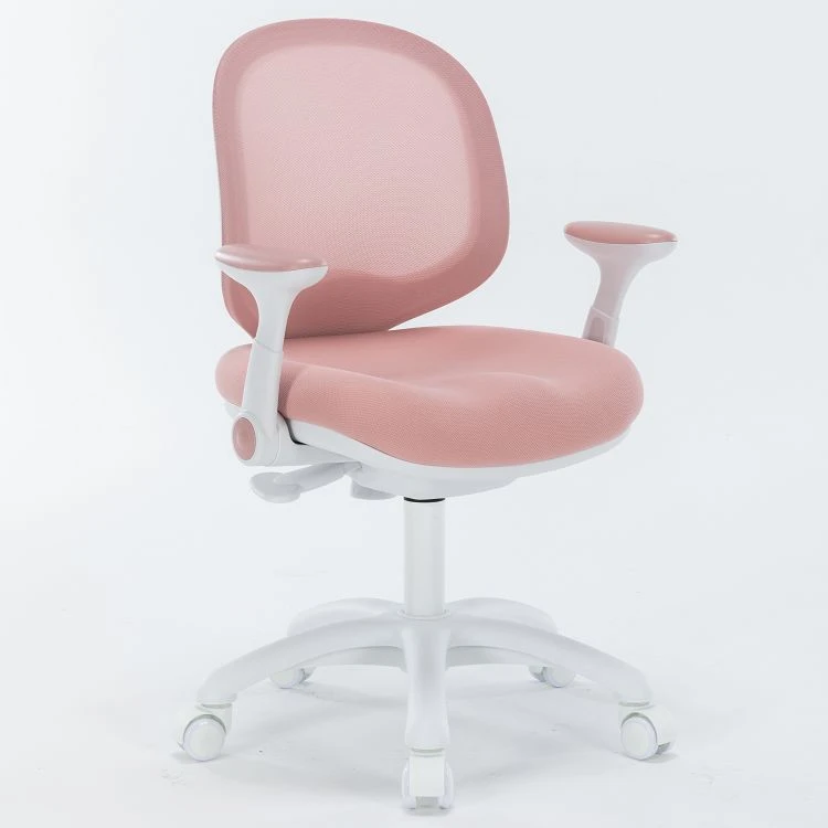 Grey Study Chair For Back Pain